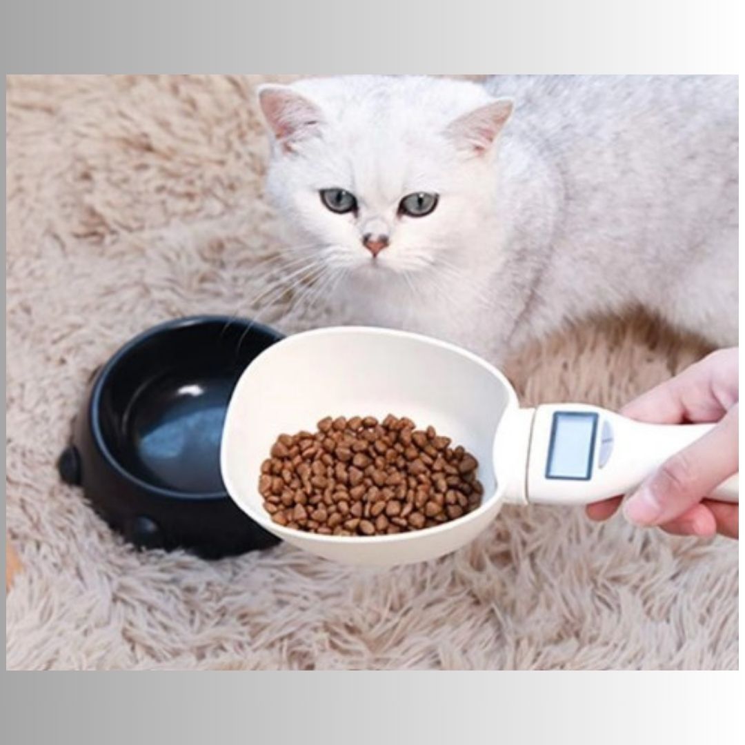 ScoopSmart | Digital Food Measuring Spoon Scale