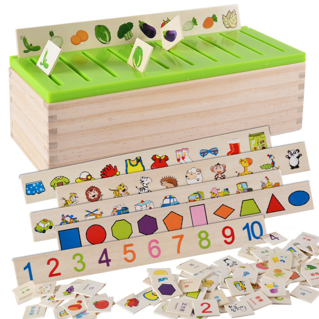 Montessori Houten Doos voor Sorteren Leren