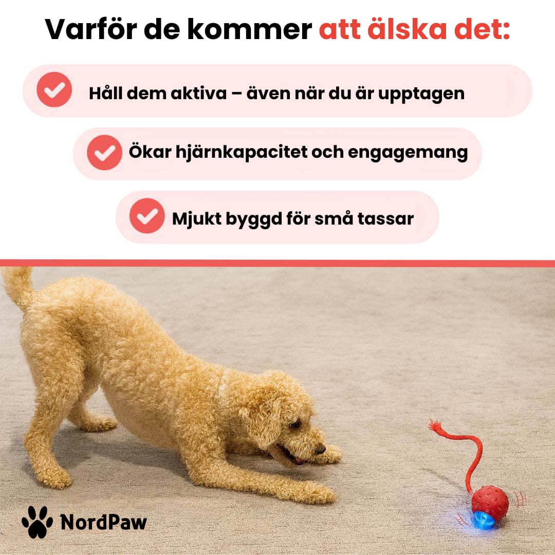 PawTail | Speedy Tail Hondenjas Lichtgewicht Waterdicht Ademend