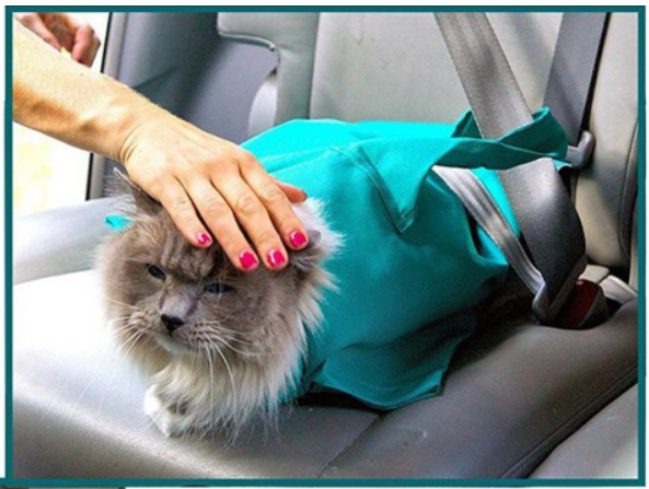 PurrfectTravel | Verzorgingstas en Reistas