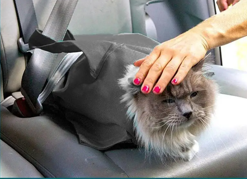 PurrfectTravel | Verzorgingstas en Reistas