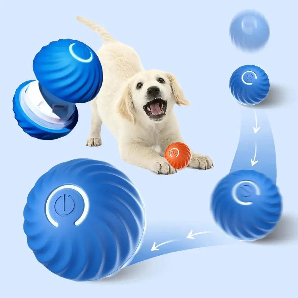 Interactieve Hondbal - Auto-Rollend - Leuk Spel