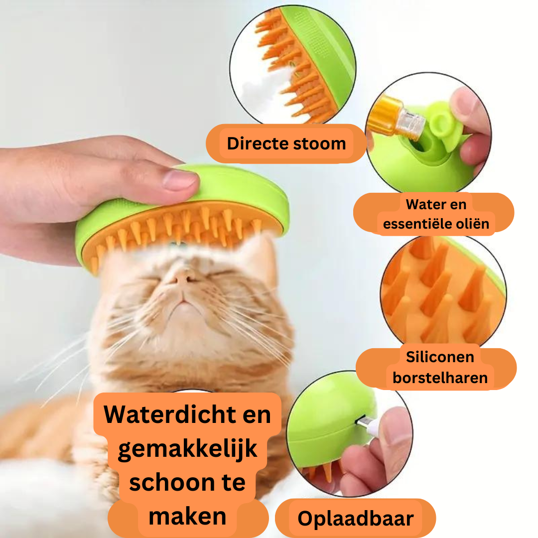 SteamPaws | Uw trouwe viervoeter