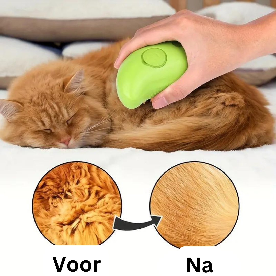 SteamPaws | Uw trouwe viervoeter