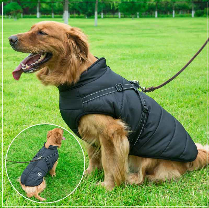 PupGuard - Winter-Hondjas met Harnas