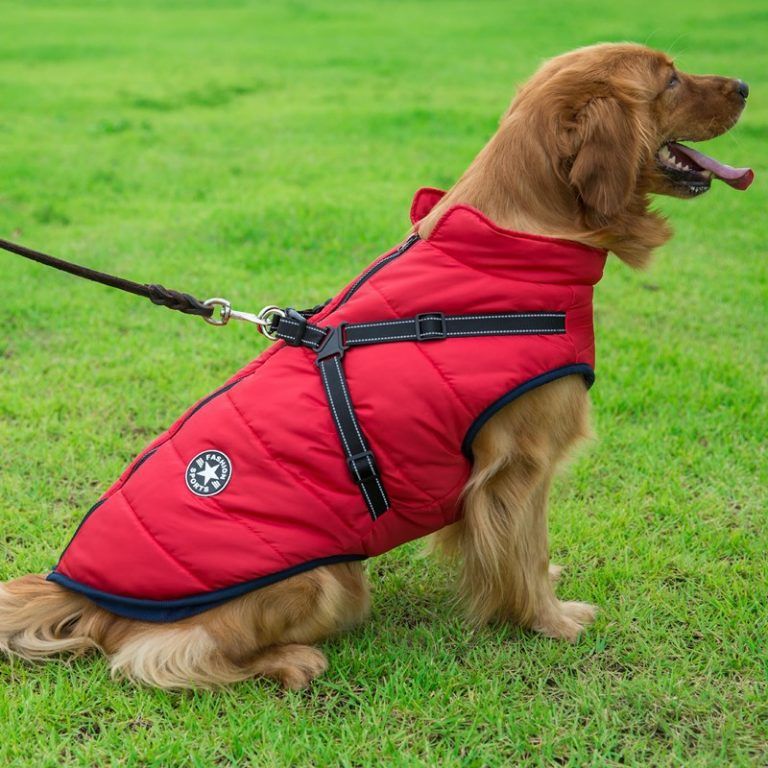 PupGuard - Winter-Hondjas met Harnas