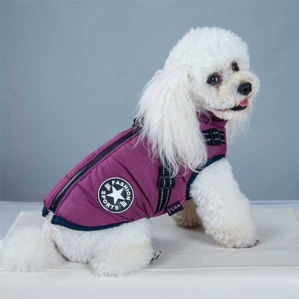 PupGuard - Winter-Hondjas met Harnas