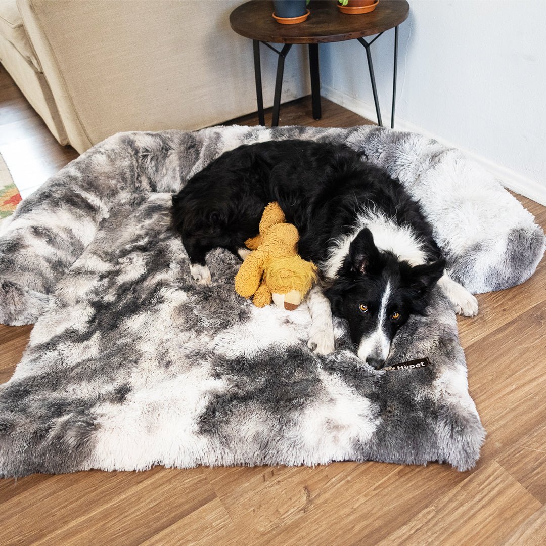 PawsyPillow | Wasbaar, warm en waterdicht herfstkussen voor je hond