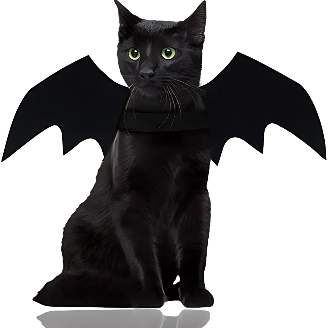 Spooky Halloween Huisdieren Vleermuis Vleugels