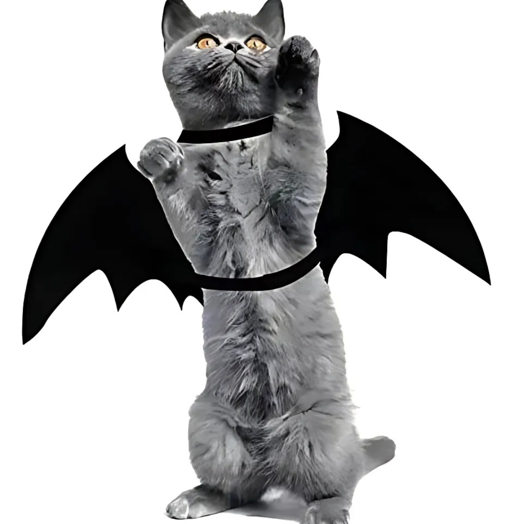 Spooky Halloween Huisdieren Vleermuis Vleugels