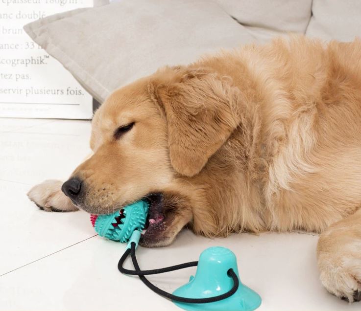 LuxePaw™ TugToy | Versterkt de band tussen jou en je huisdier