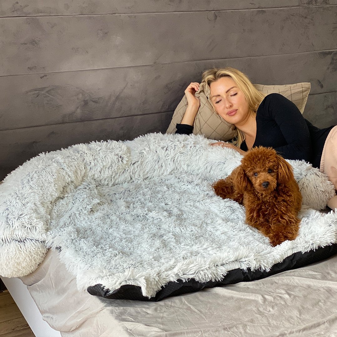 PawsyPillow | Wasbaar, warm en waterdicht herfstkussen voor je hond