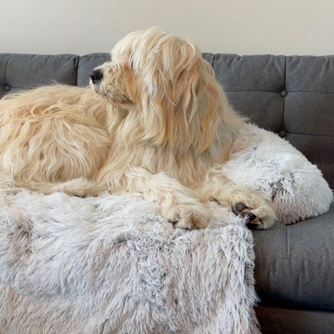 PawsyPillow | Wasbaar, warm en waterdicht herfstkussen voor je hond