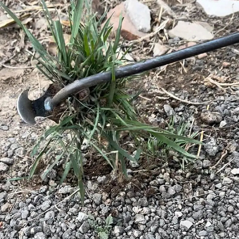 WeedMaster™ - Uw ultieme onkruidverwijderaar