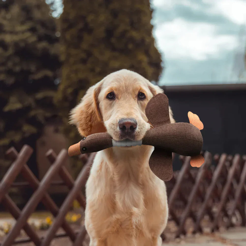 Duurzaam Interactief Eend Huisdier Speelgoed – Sterk Hond Kauwspeelgoed voor Veilige Speelervaring en Eindeloos Plezier, 30 Centimeter Lang