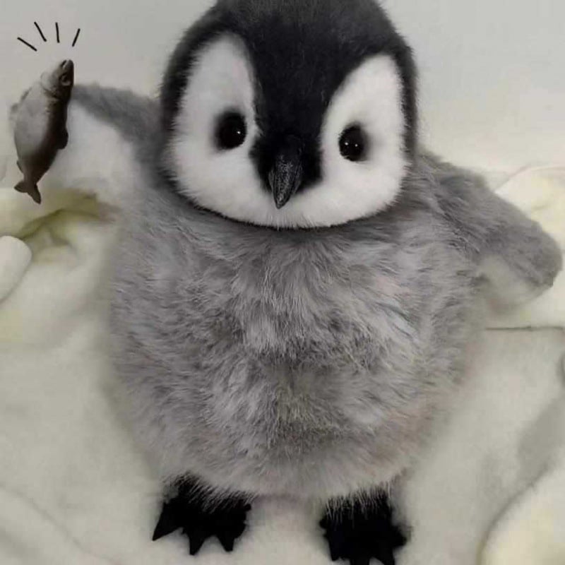 PinguinPlezier Pluche Pinguïn | Super realistische pluche vriend
