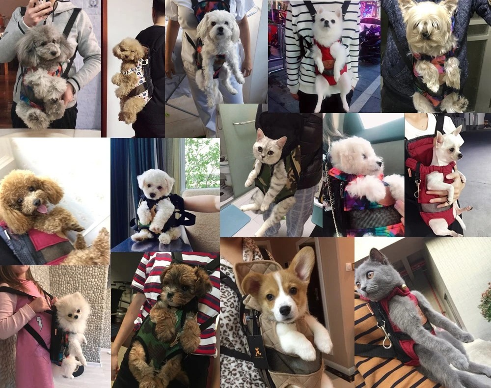 PetPals kattendraagtas | Ideale reistas