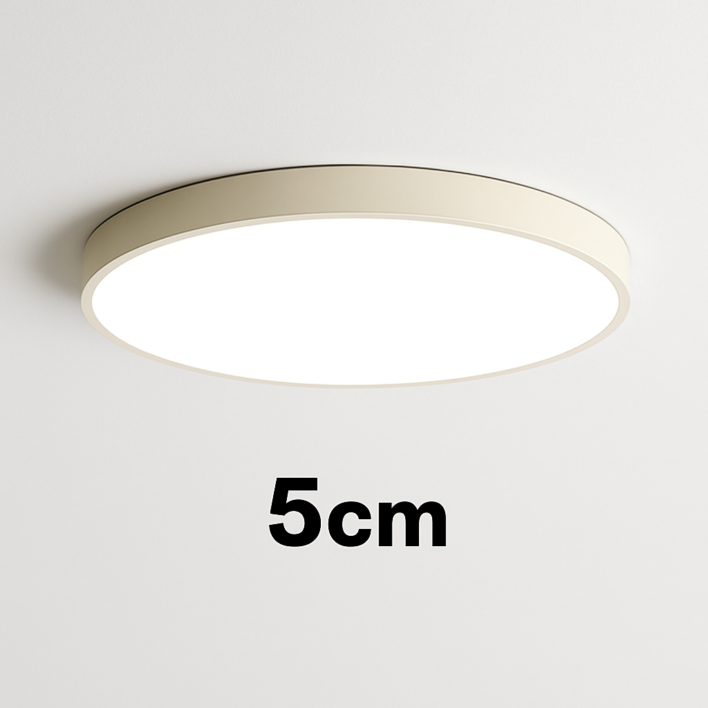 Ronde en platte LED-plafondlamp (verschillende maten)