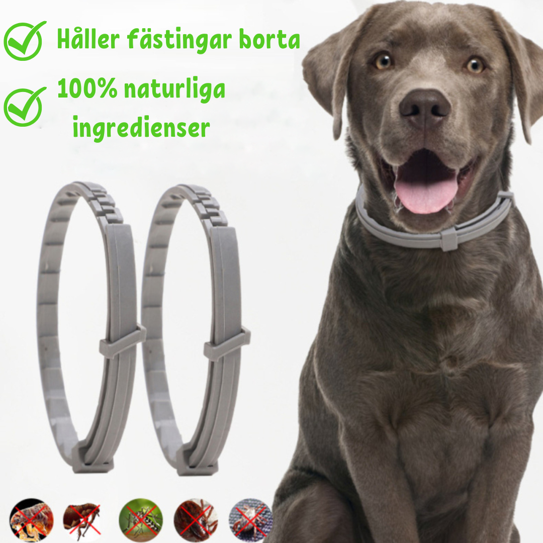 PetSafe | Multi-Bescherming Halsband tegen Vlooien en Teken