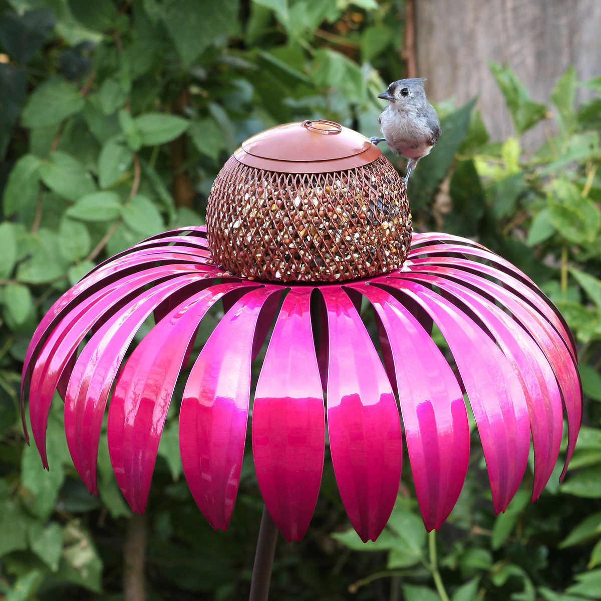 Vogelfutterhuis – 50% KORTING vandaag!
