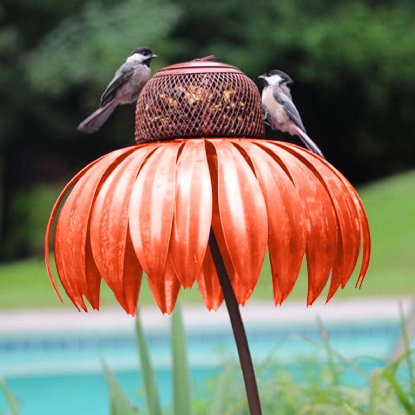 Vogelfutterhuis – 50% KORTING vandaag!