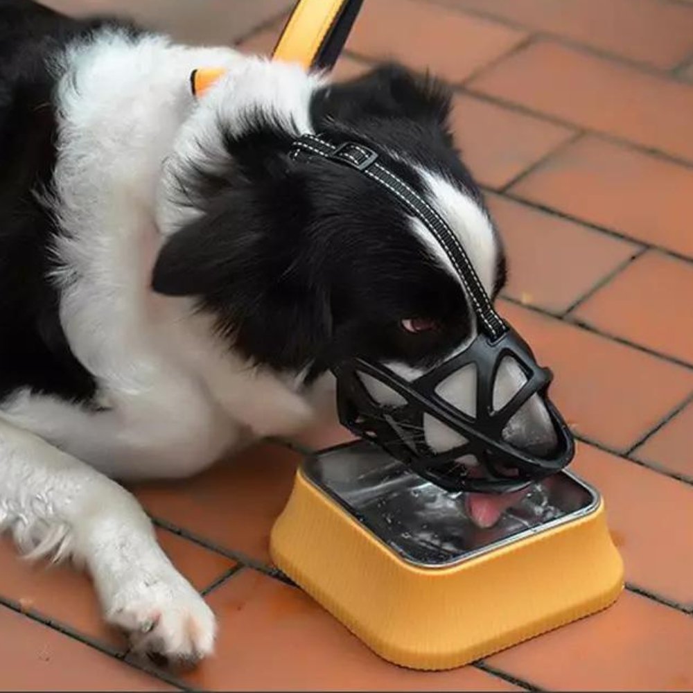 SafeBark • Muilkorf voor Honden