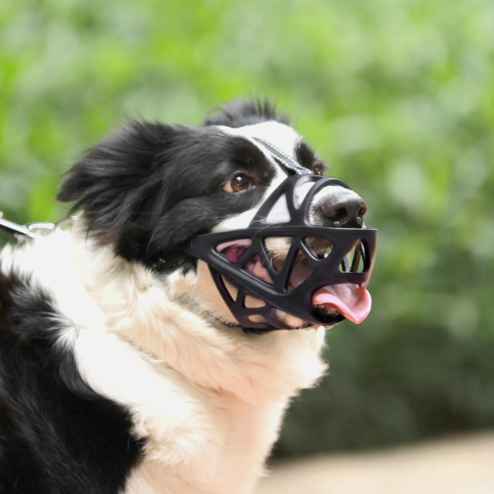 SafeBark • Muilkorf voor Honden