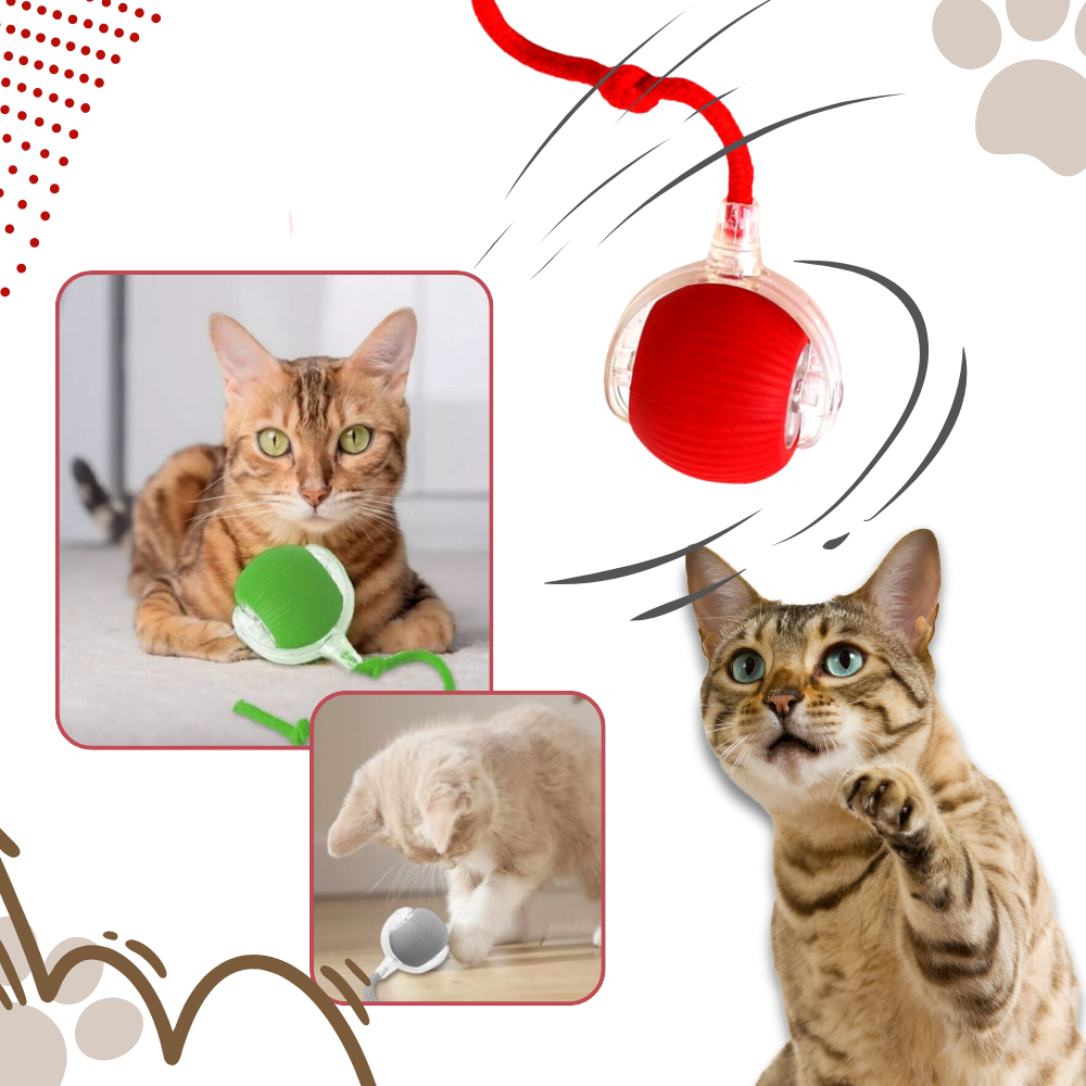Slim Interactief Kattenbal Speelgoed