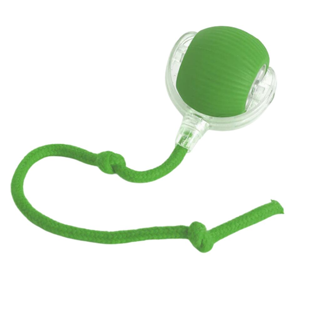Slim Interactief Kattenbal Speelgoed
