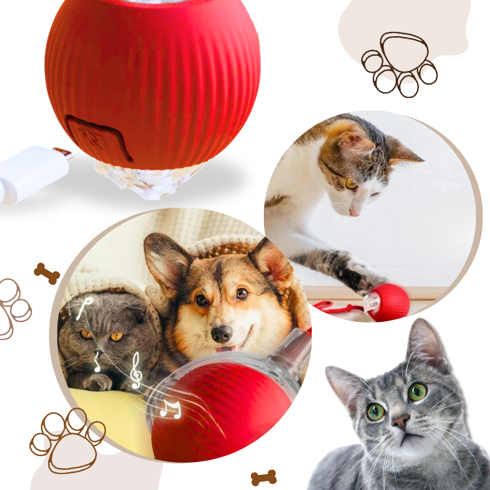 Slim Interactief Kattenbal Speelgoed
