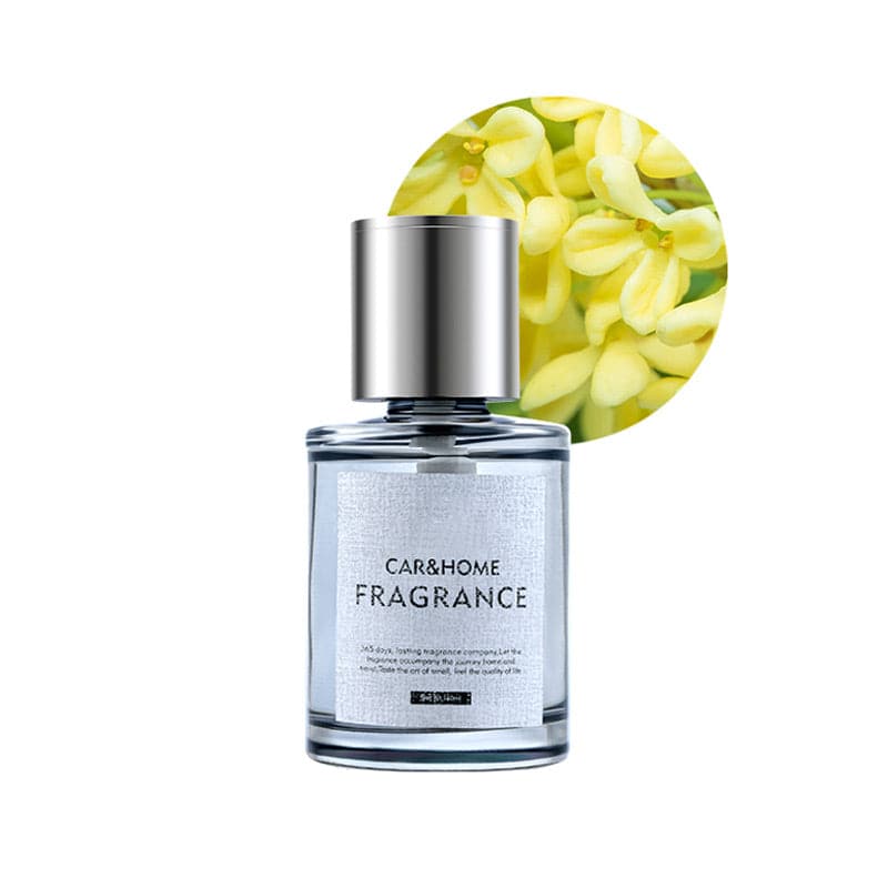 Luxe Geurstoker voor een Frisse Auto - AromaDrive