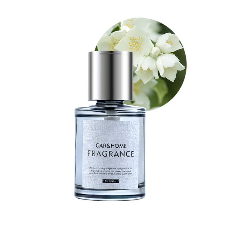 Luxe Geurstoker voor een Frisse Auto - AromaDrive