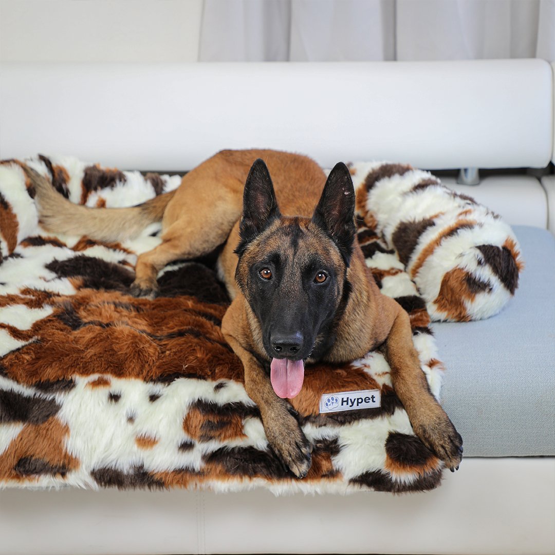 PawsyPillow | Wasbaar, warm en waterdicht herfstkussen voor je hond