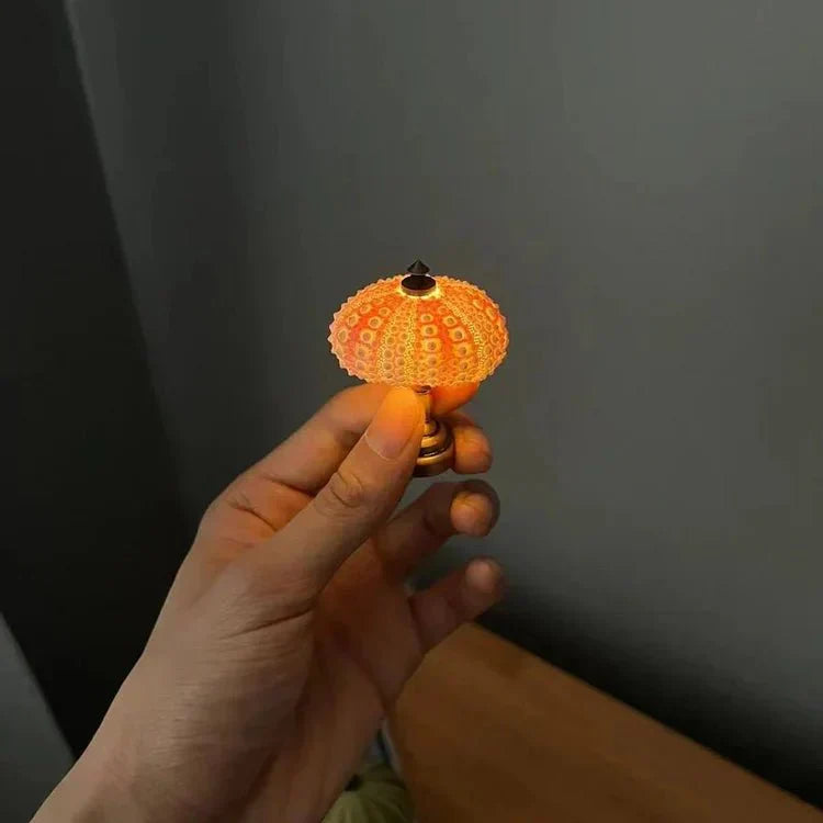 DIY Zee-egel Nachtlamp