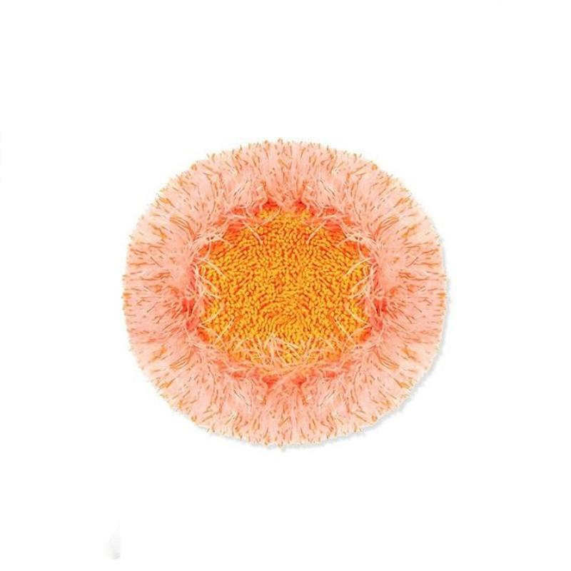 LuxaMop 360° Roteerbare Schoonmaakmop | Efficiënte reiniging met verstelbare hoek voor elke ruimte