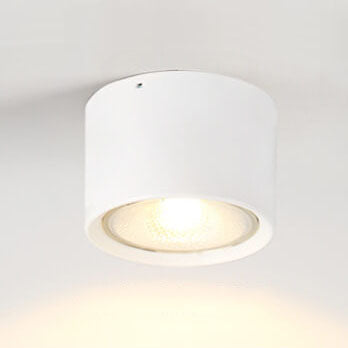 Frendorf | LED Plafondspot Cilinder | Verstelbaar Spotlight Design
