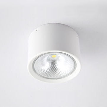Frendorf | LED Plafondspot Cilinder | Verstelbaar Spotlight Design