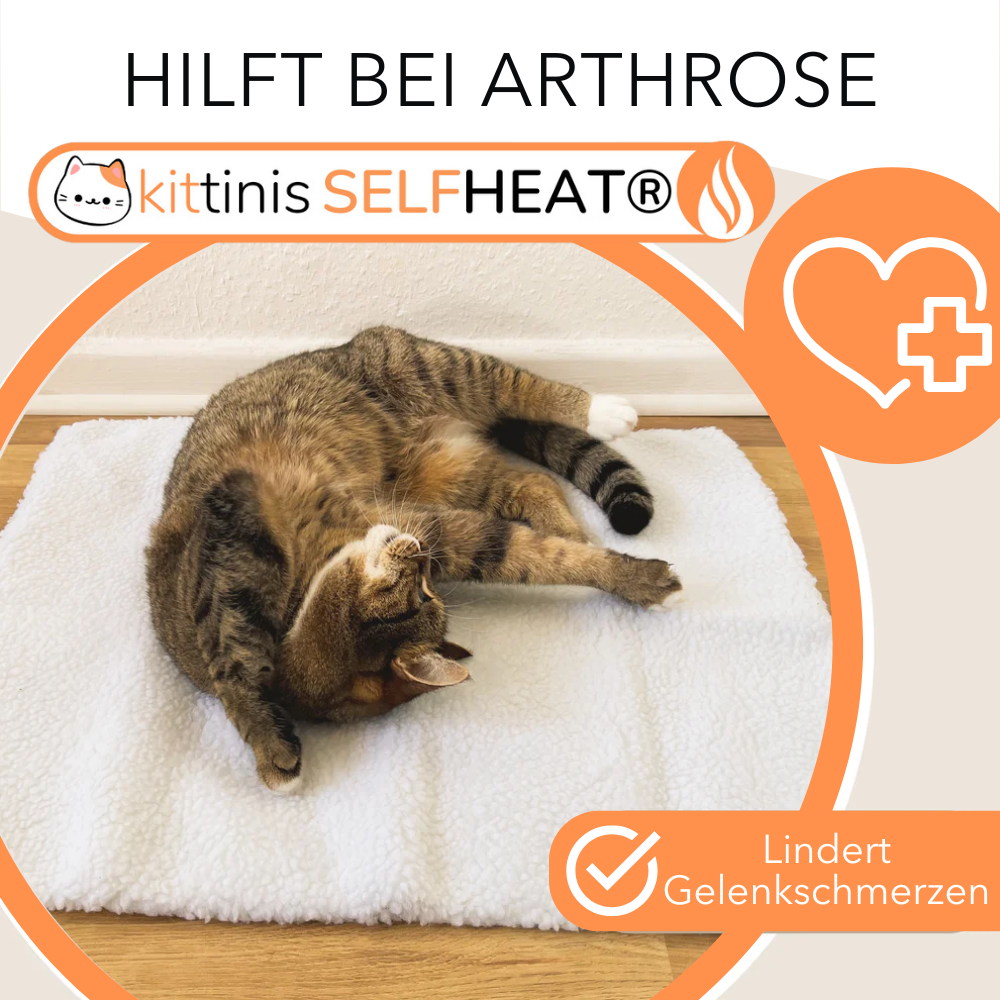 CozyWarm Pad | Straalt warmte uit voor je harige vriend