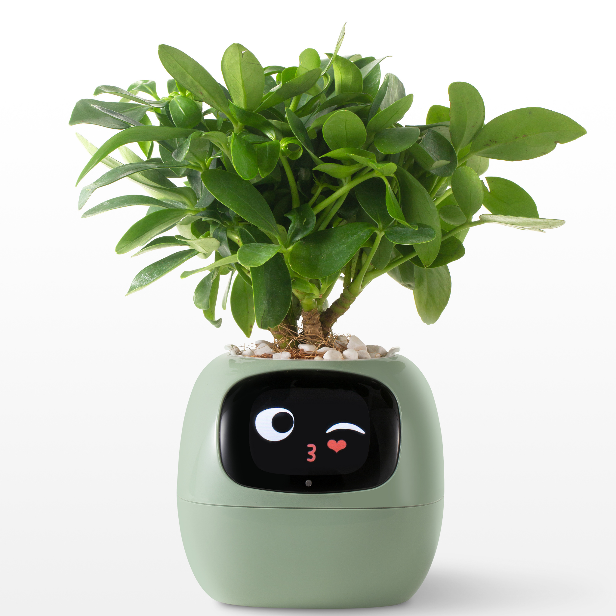 EmojiPlant | Creatieve Emoji Bloempot
