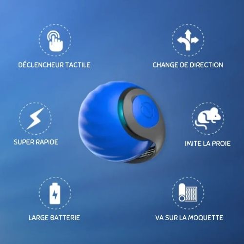 PurrPlay Interactieve Rollende Bal | Slim plezier voor uw harige vrienden