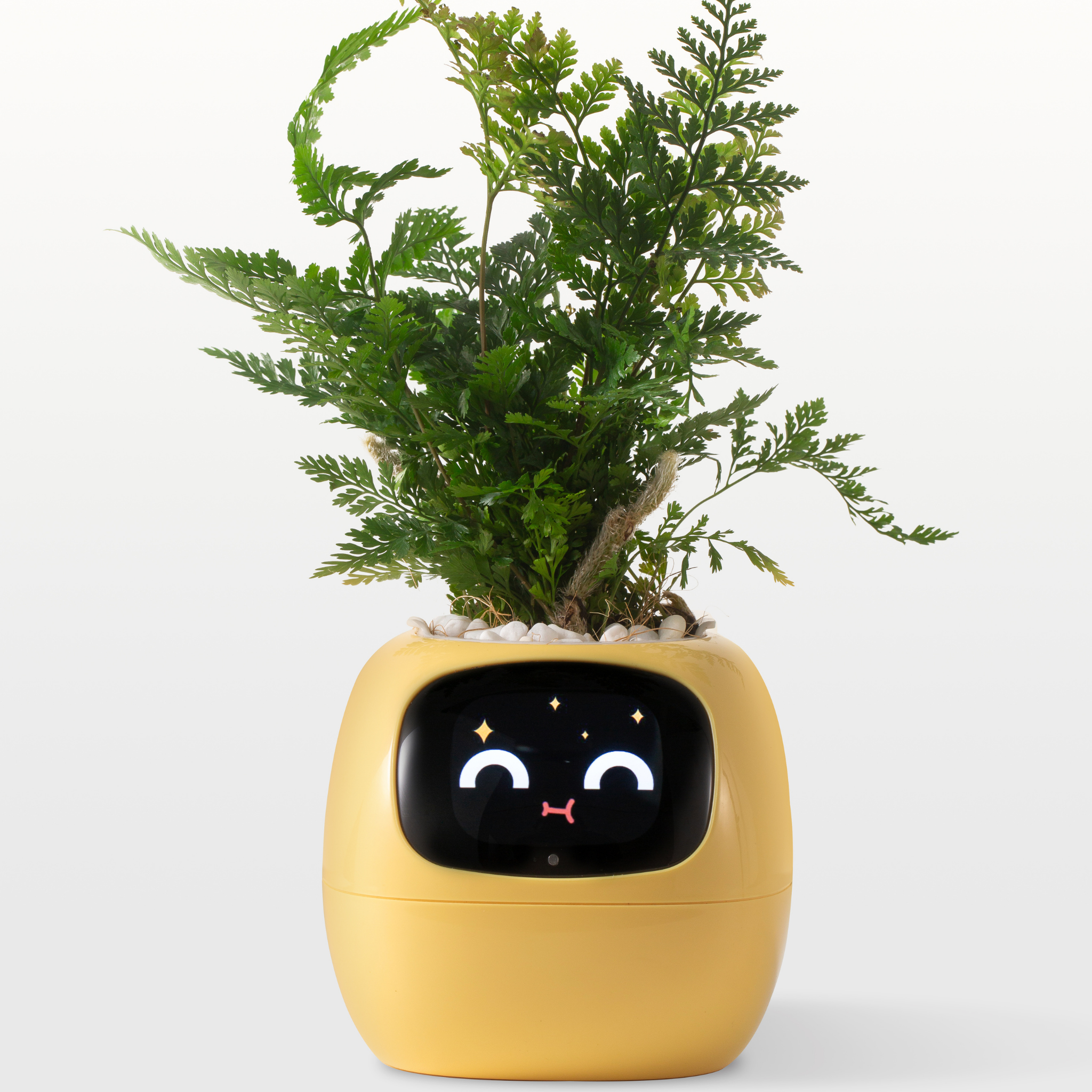EmojiPlant | Creatieve Emoji Bloempot