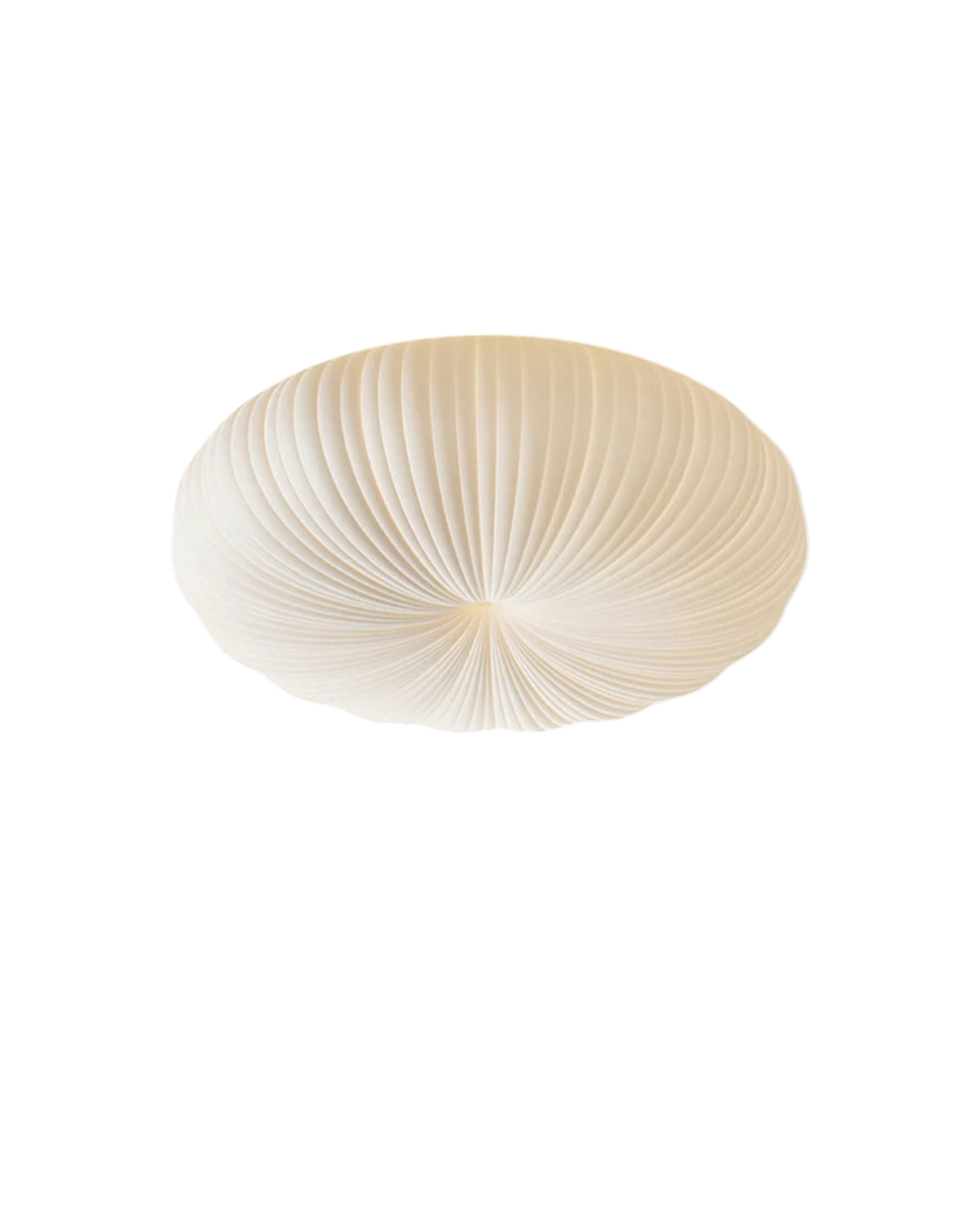 De Hemelse Halo