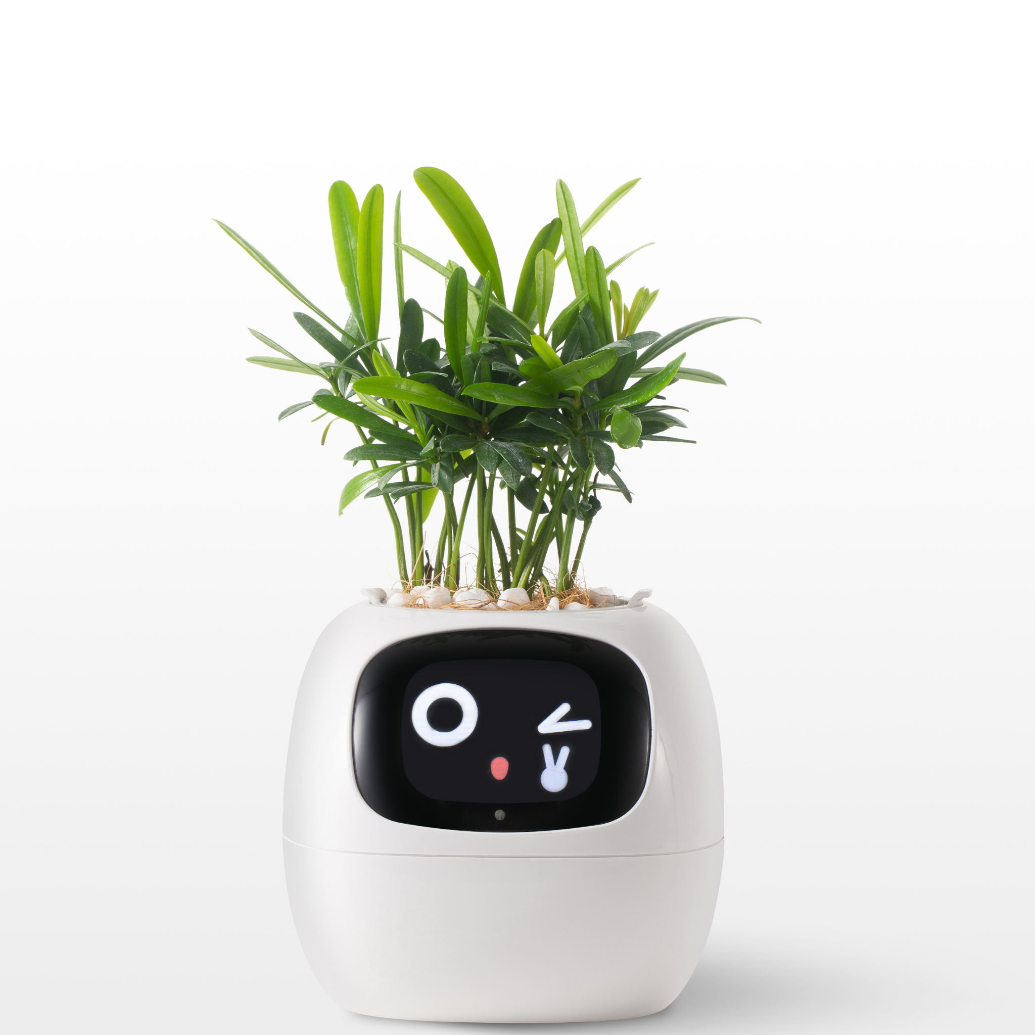 EmojiPlant | Creatieve Emoji Bloempot