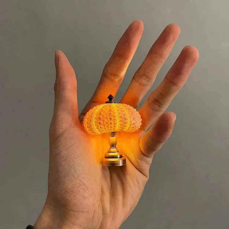DIY Zee-egel Nachtlamp