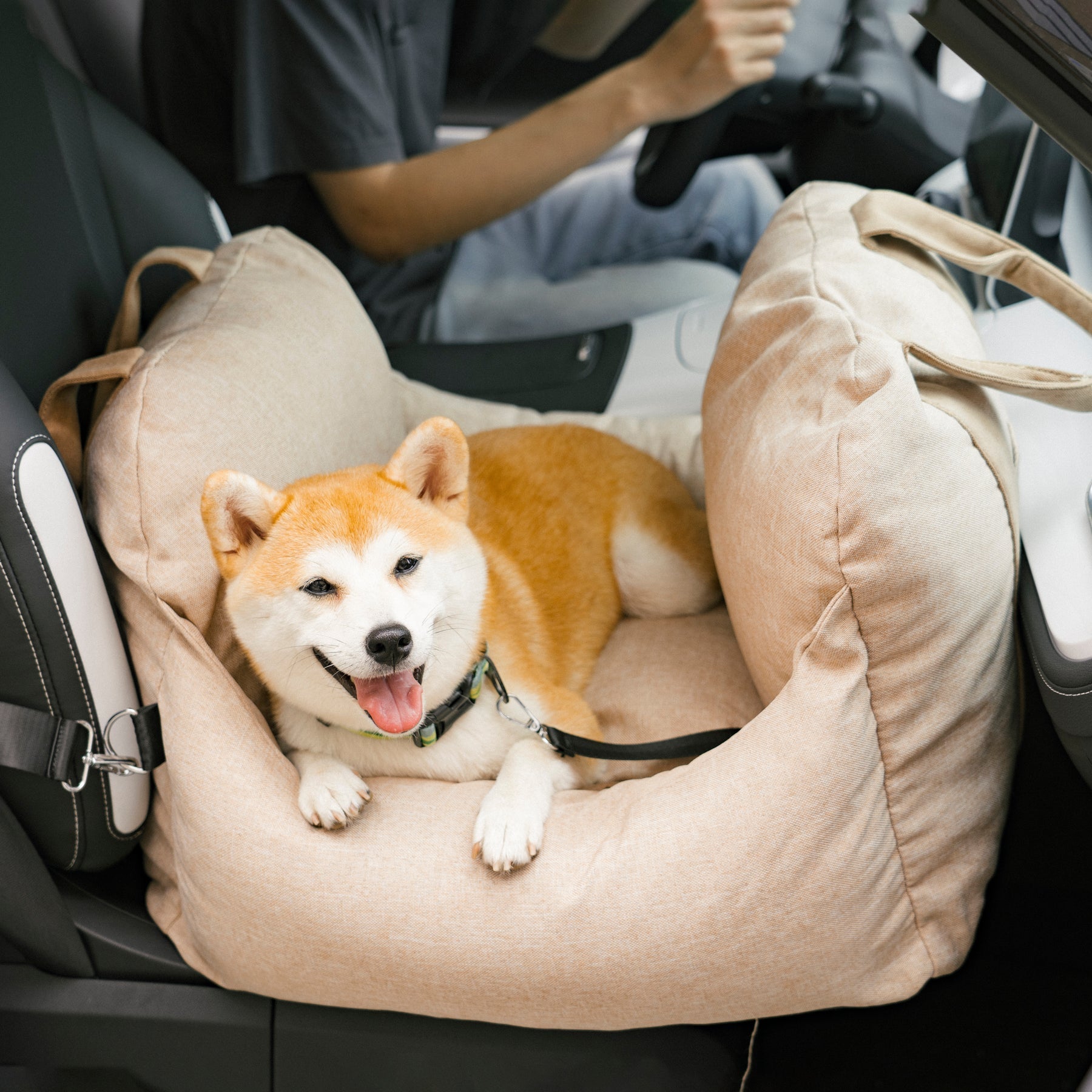ChienLux | Hondenautostoel – optimaal comfort – verhoogde veiligheid – elegant design
