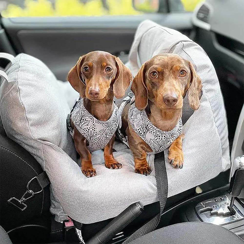 ChienLux | Hondenautostoel – optimaal comfort – verhoogde veiligheid – elegant design
