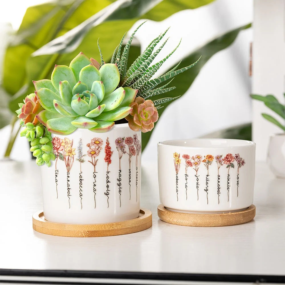 BloomPot Set | Gepersonaliseerde Geboortebloem Plantenpot – Schattige Keramische Cactuspot met Drainage voor Binnengebruik