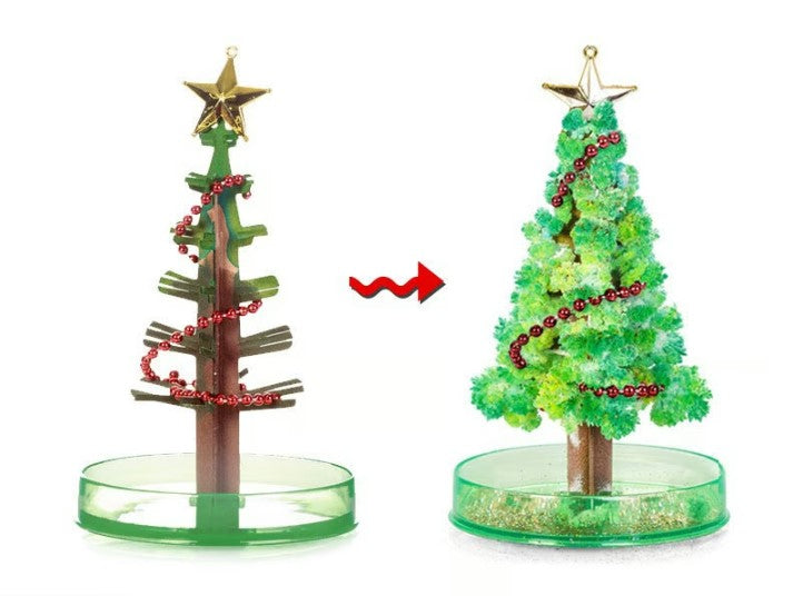 MagicGrow Kerstboom | Zie de magie van Kerstmis ontvouwen