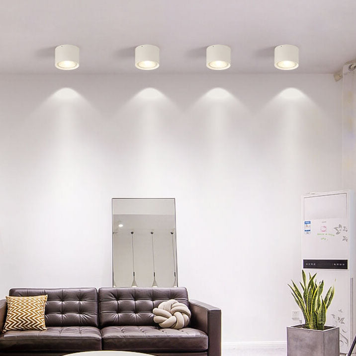 Frendorf | LED Plafondspot Cilinder | Verstelbaar Spotlight Design