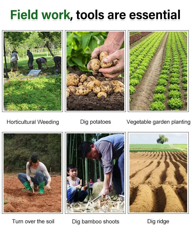 WeedMaster™ - Uw ultieme onkruidverwijderaar